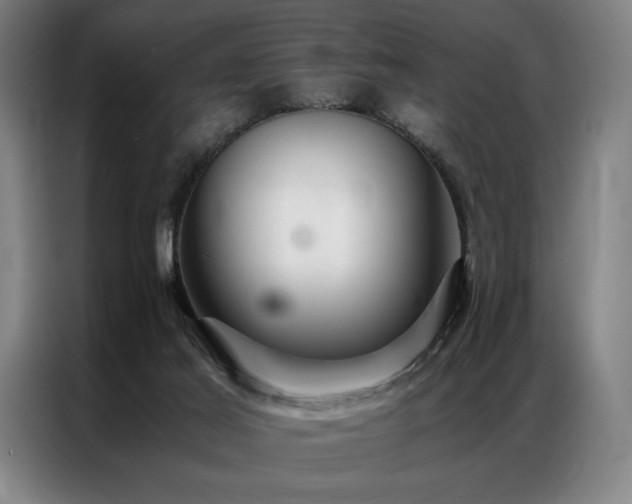 X0000087310021200704201218