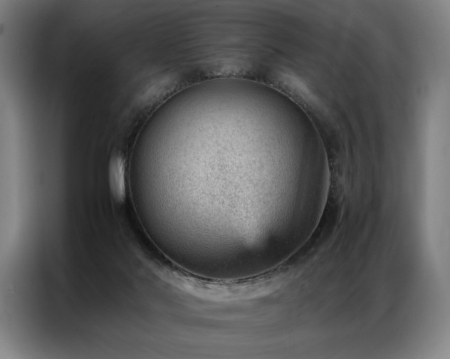 X0000087310022200704201218