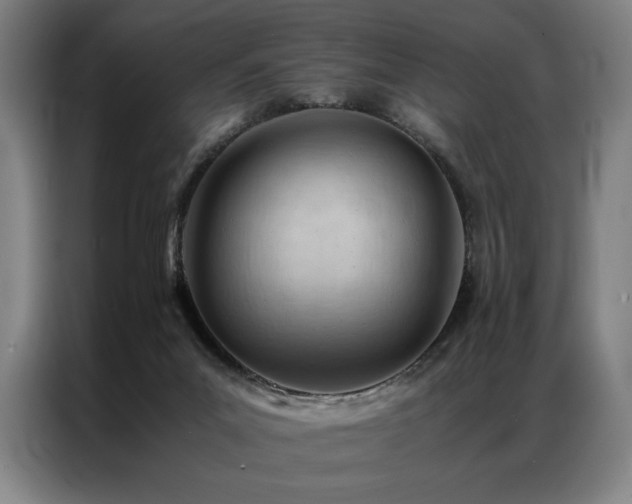 X0000087310023200704201218