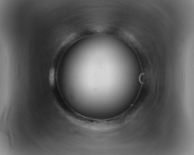 X0000087310024200704201218