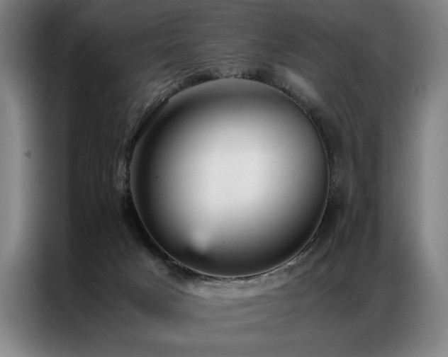 X0000087310025200704201218