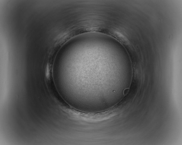 X0000087310026200704201218