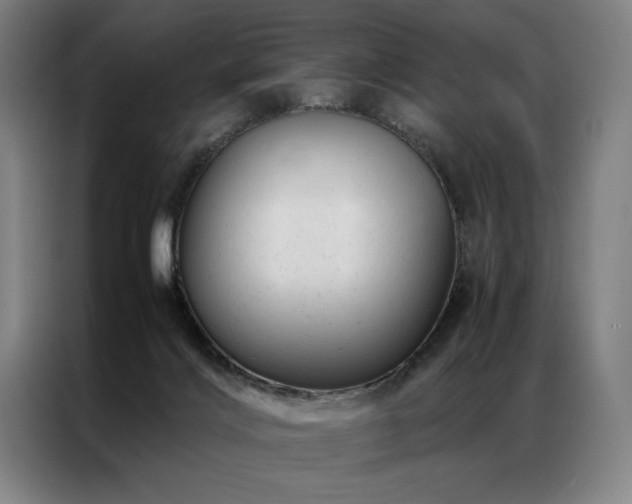 X0000087310028200704201218
