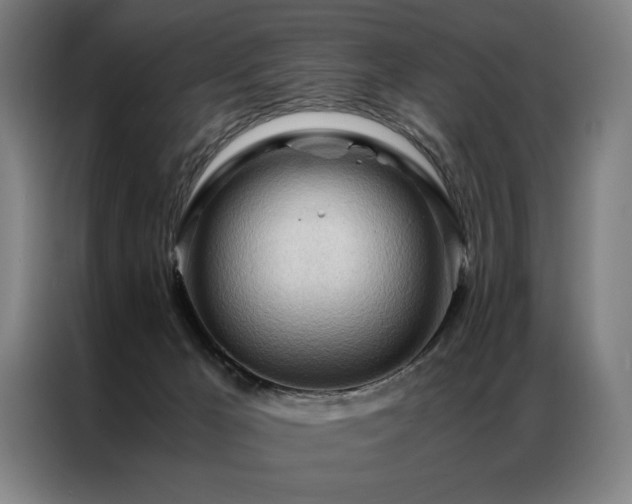 X0000087310029200704201218