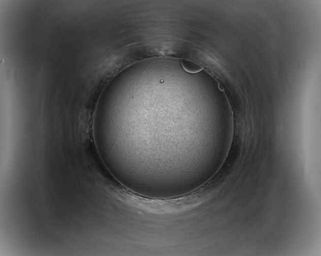 X0000087310030200704201218