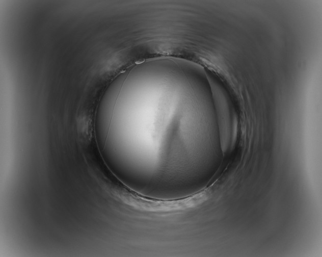 X0000087310031200704201218
