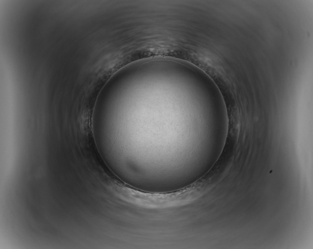 X0000087310034200704201218
