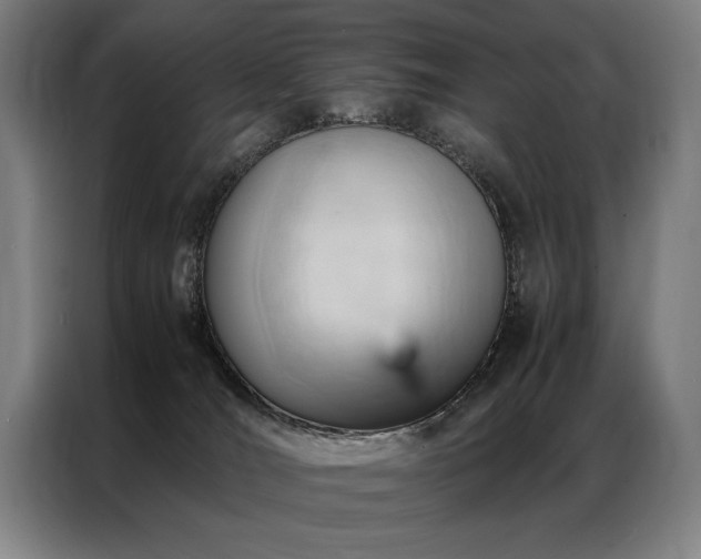 X0000087310036200704201218