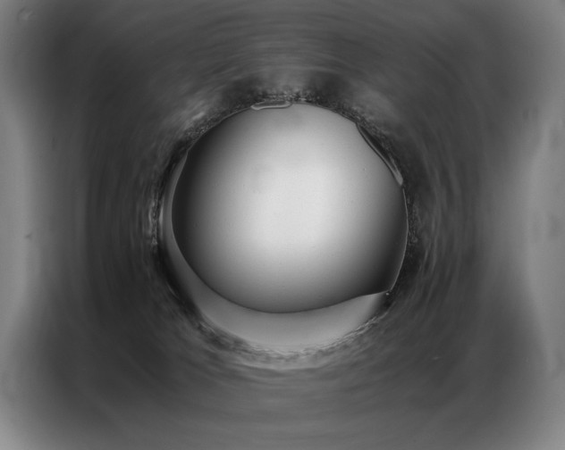 X0000087310037200704201218