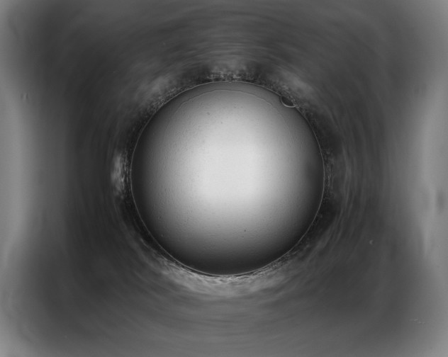 X0000087310038200704201218