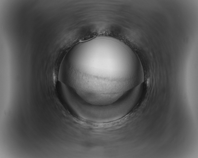 X0000087310039200704201218