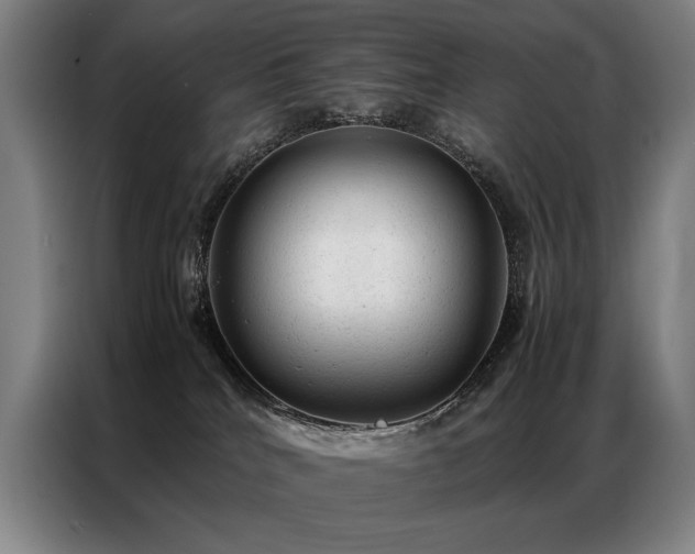 X0000087310040200704201218