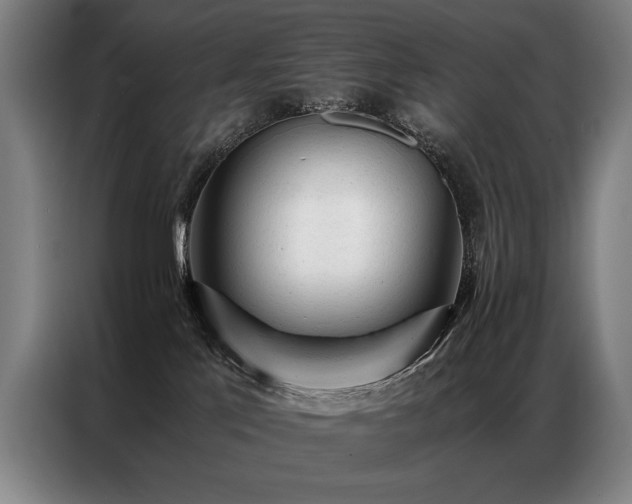 X0000087310041200704201218