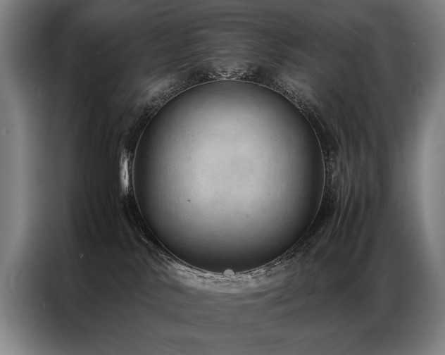 X0000087310042200704201218