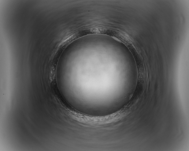 X0000087310043200704201218