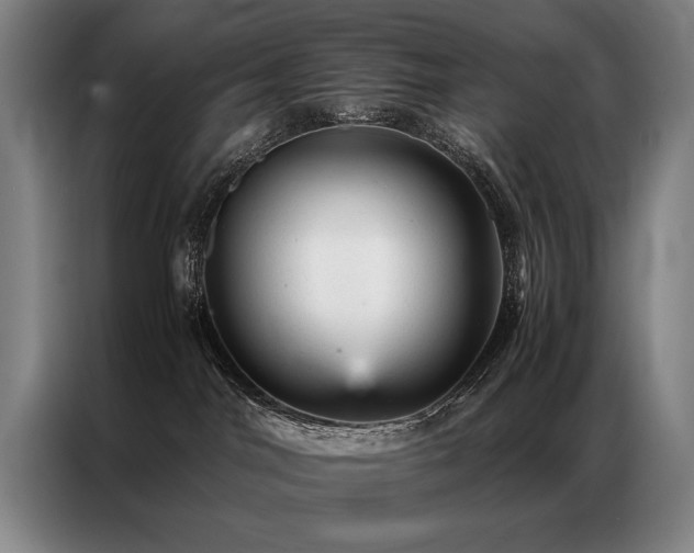 X0000087310044200704201218