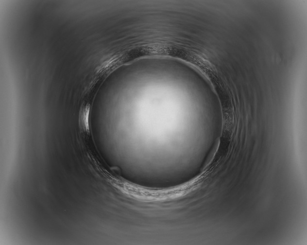 X0000087310047200704201218