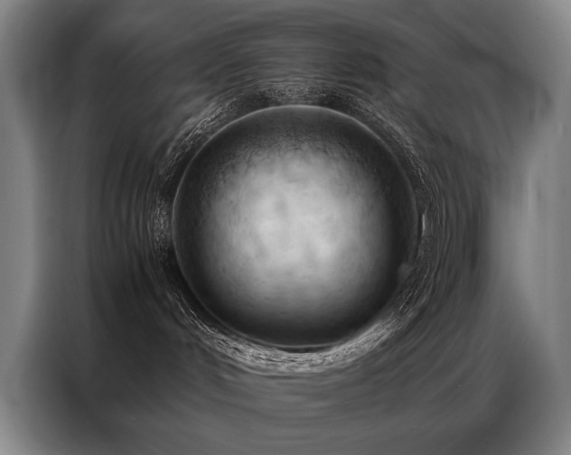 X0000087310048200704201218