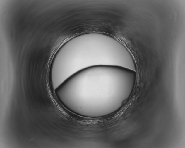 X0000087310049200704201217