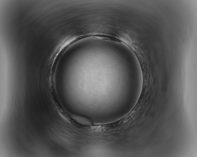 X0000087310050200704201217