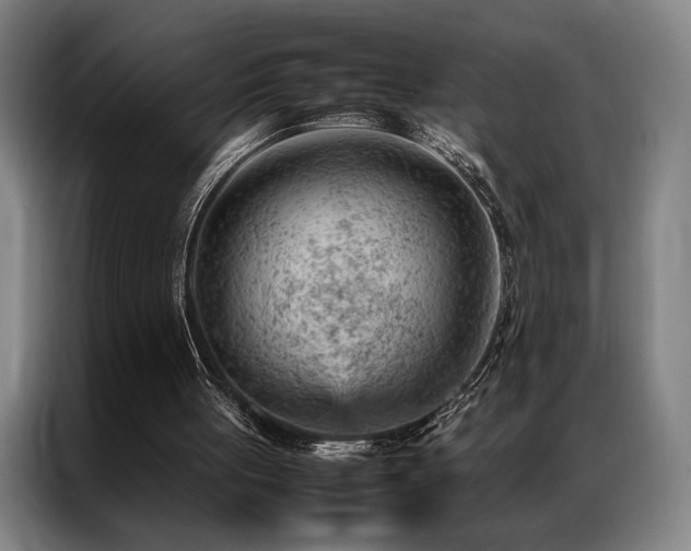 X0000087310051200704201217