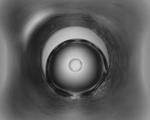 X0000087310052200704201217