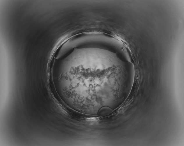 X0000087310053200704201217