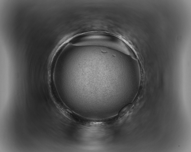 X0000087310055200704201217