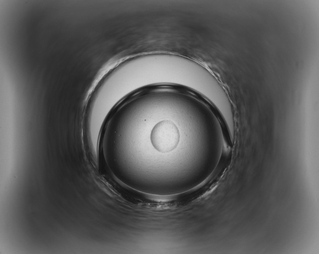 X0000087310056200704201217