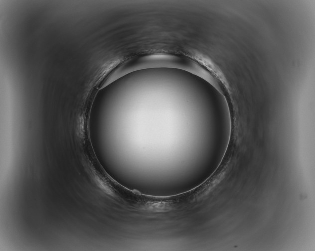 X0000087310057200704201217