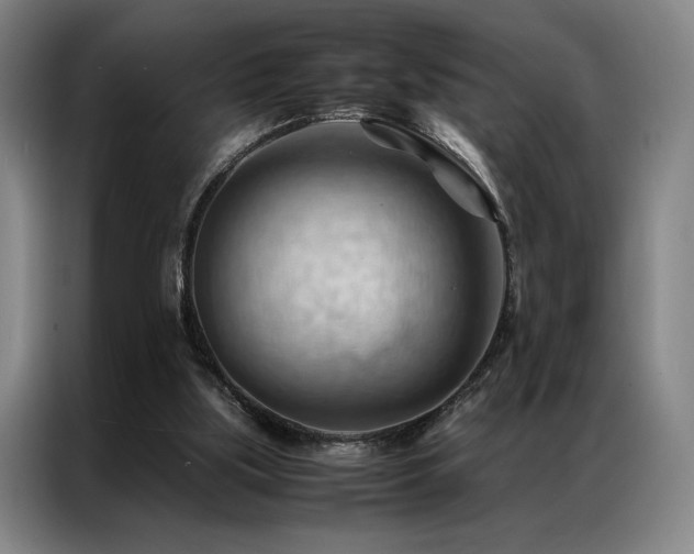 X0000087310059200704201217