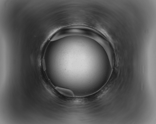 X0000087310060200704201217