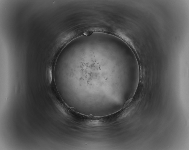 X0000087310061200704201217