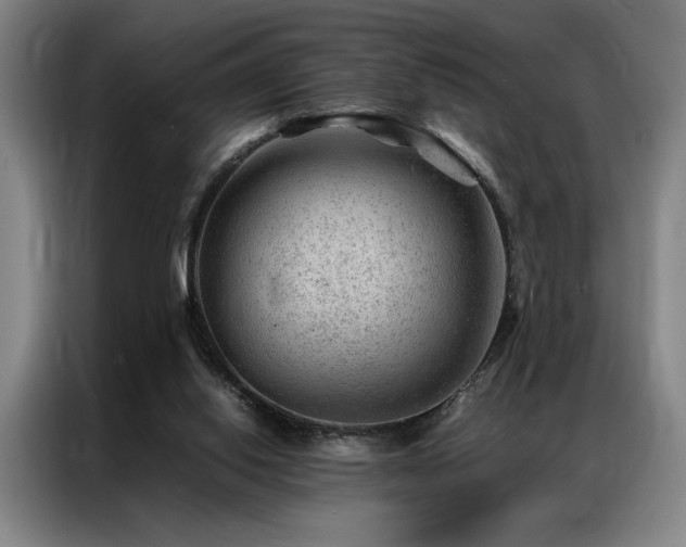 X0000087310062200704201217