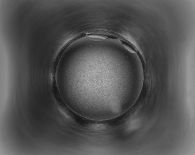 X0000087310063200704201217