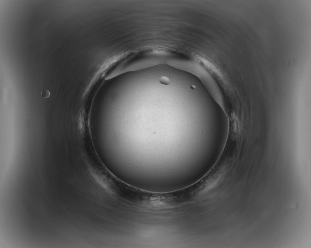 X0000087310064200704201217