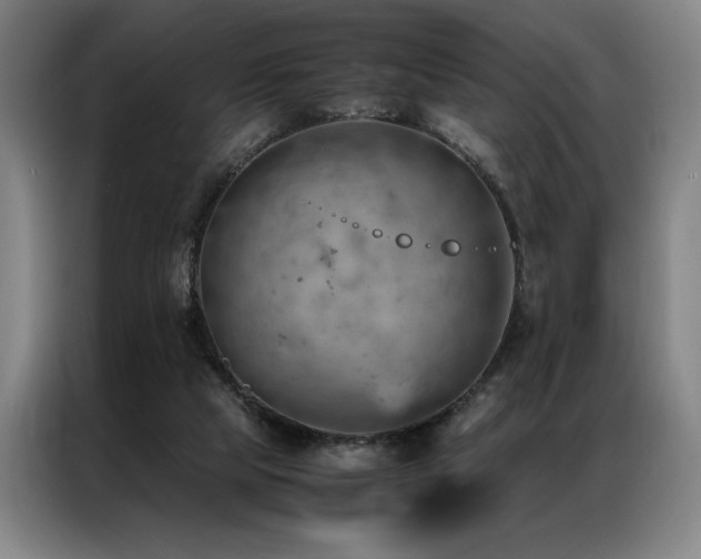 X0000087310065200704201217