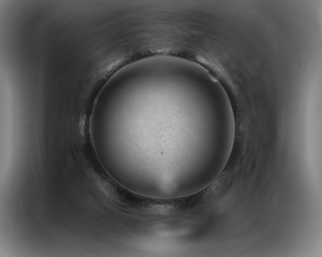 X0000087310066200704201217