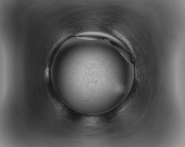 X0000087310067200704201217