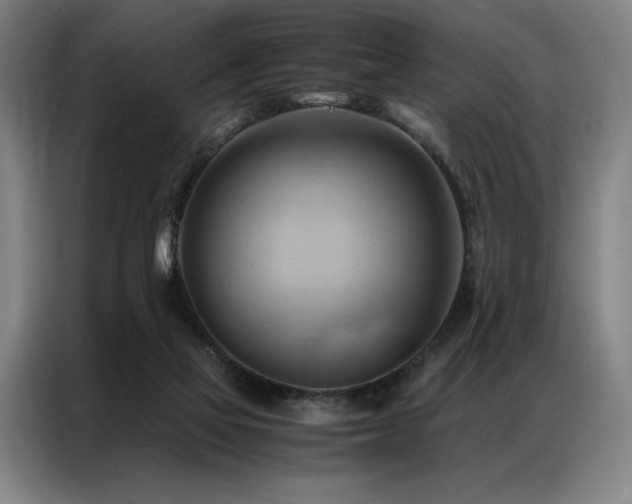 X0000087310069200704201217