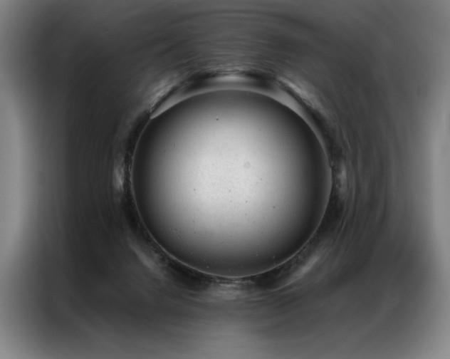 X0000087310072200704201217