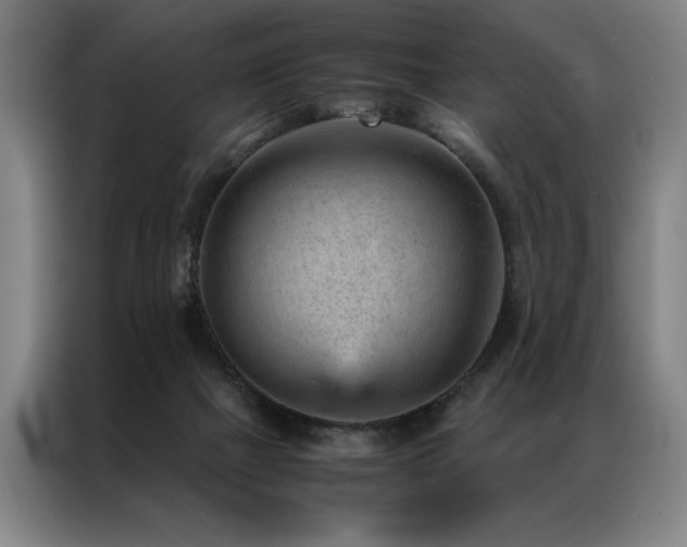 X0000087310073200704201217