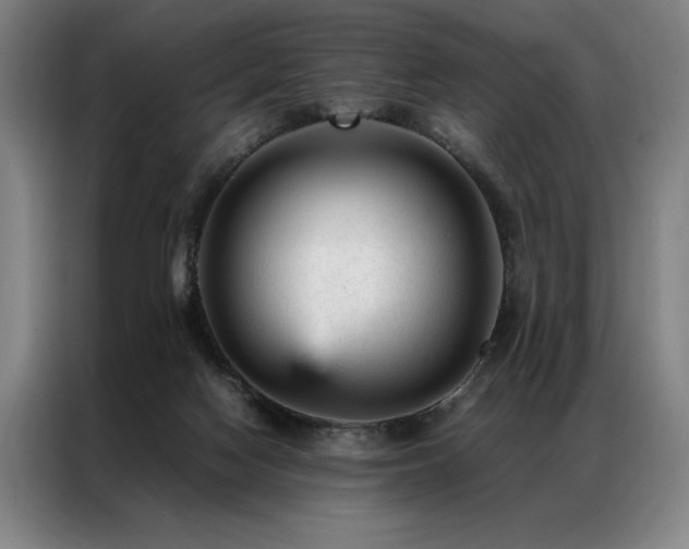 X0000087310074200704201217