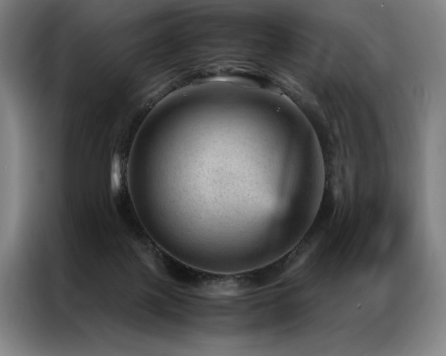 X0000087310075200704201217