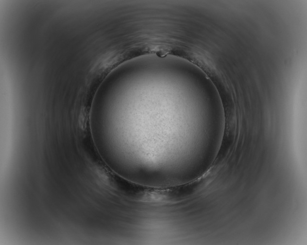X0000087310078200704201217