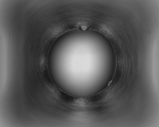 X0000087310079200704201217