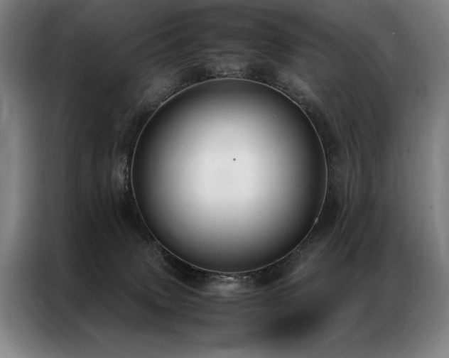 X0000087310083200704201218