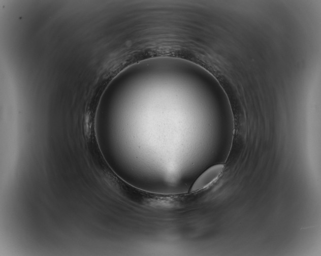 X0000087310086200704201218