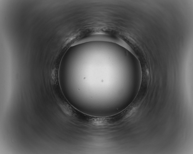 X0000087310088200704201218