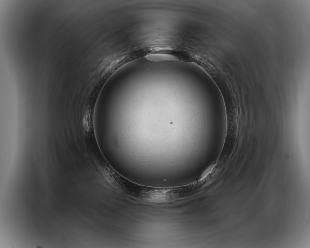 X0000087310090200704201218
